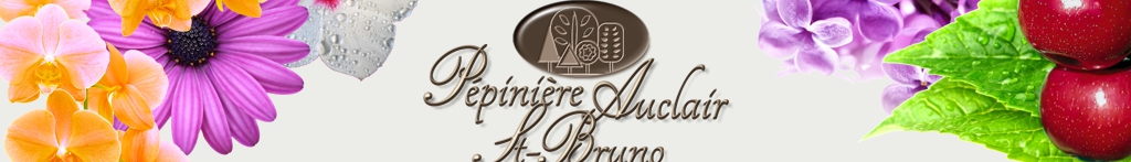 Retour a la page d'acceuil Pepiniere Auclair St-Bruno